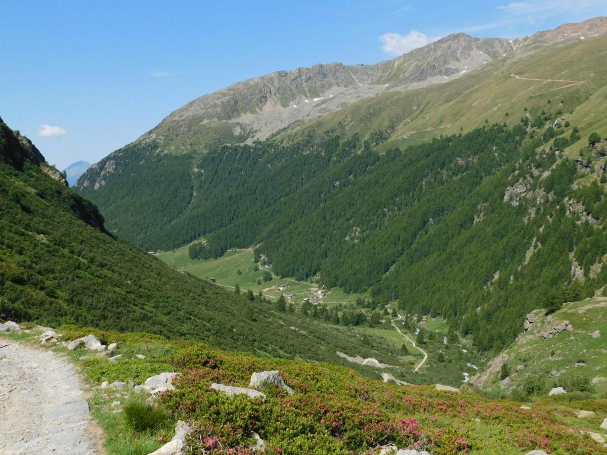 Albergue - Bormio - Livigno - Santa Caterina - Stelvio