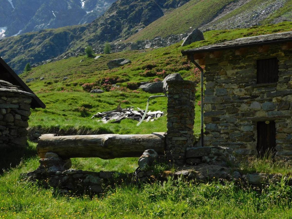 - Bormio - Livigno - Santa Caterina - Stelvio * Sondalo